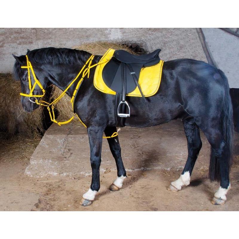 Biotack Bridon Licol - SHOP HORSE